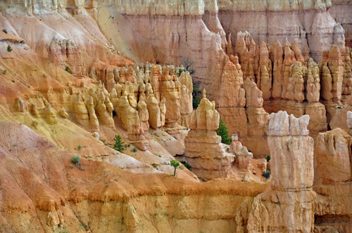 notice the yellow in the hoodoos